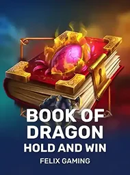 Book of Dragon: Hold and Win Book of Dragon: Hold and Win
